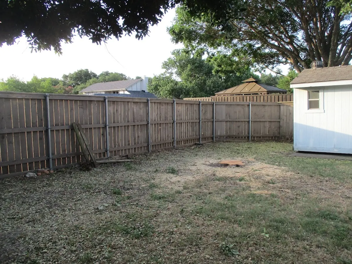 Cleared yard after professional tree removal in Horse Cave
